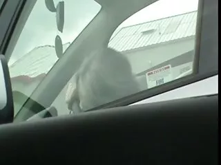 Strapon sunny leone ka hindi bf joven cerca de la piscina intermitente