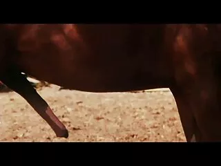 Pista y hindi sexy indio video public_nudity entonces él